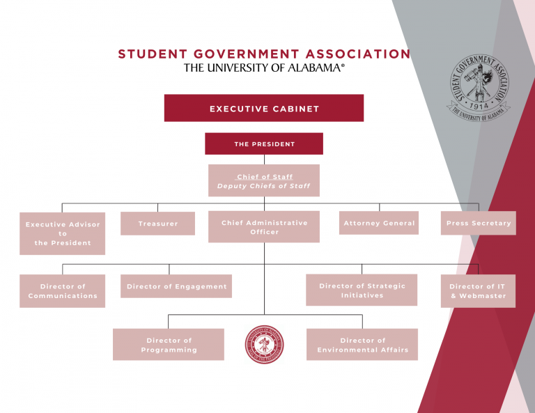 Executive - Student Government Association